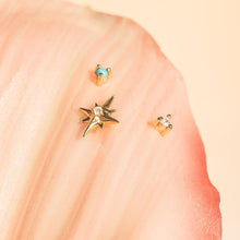 Load image into Gallery viewer, 14K Yellow .04 CTW Rose-Cut Natural Diamond Earring