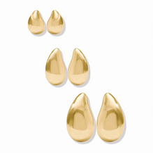 Load image into Gallery viewer, Wave Earring