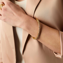 Load image into Gallery viewer, Stardust Hinge Bangle