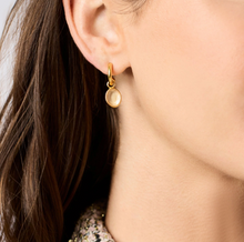 Load image into Gallery viewer, Stardust 6-in-1 Earring
